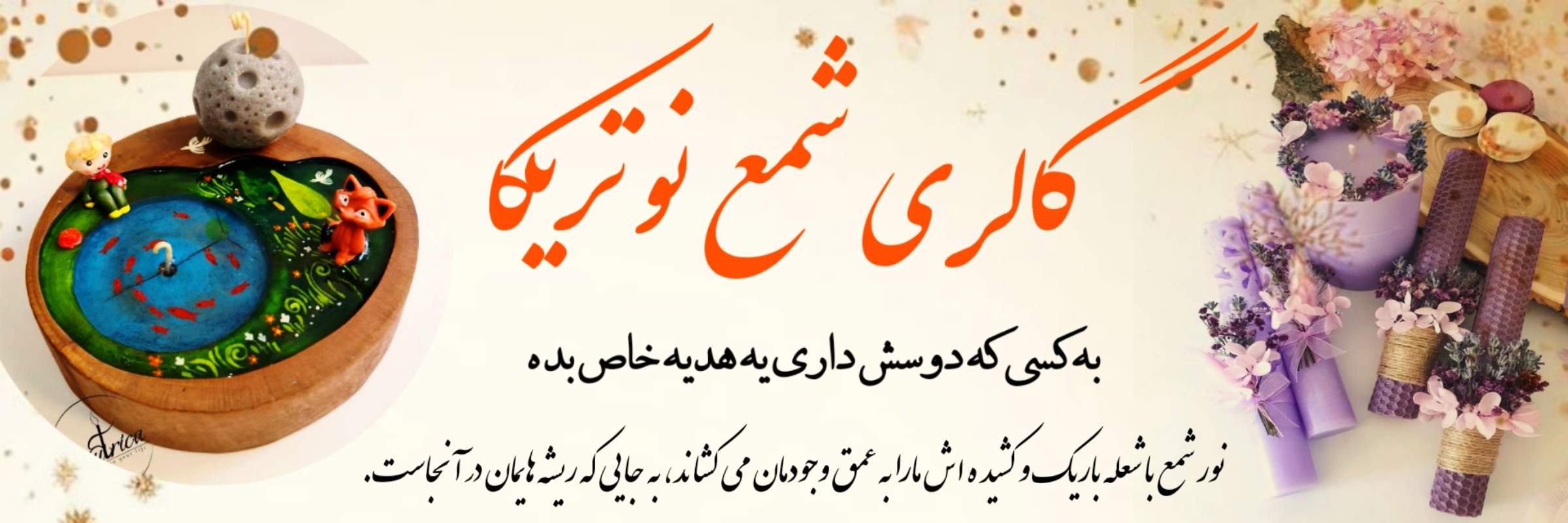 پک هدیه نور برند نوتریکا